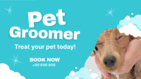 Professional Pet Groomer Animation Image Preview