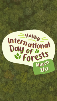 International Day of Forests  TikTok Video Design