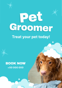 Professional Pet Groomer Poster Image Preview