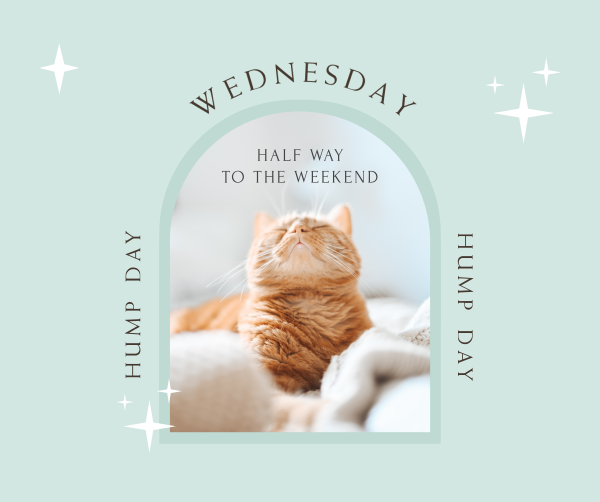 Wednesday Hump Day Facebook Post Design