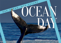Save our Ocean Postcard Design