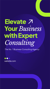 Expert Consulting Video Image Preview