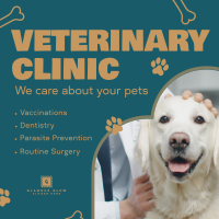 Professional Veterinarian Clinic Instagram post Image Preview