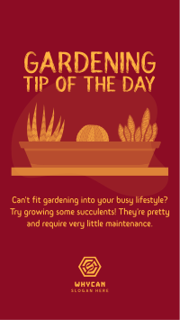 Gardening Tips Instagram story Image Preview