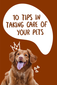 Happy Pets Pinterest Pin Image Preview