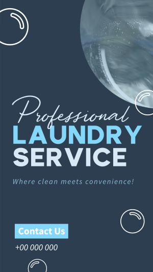 Professional Laundry Service Facebook story Image Preview