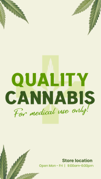 Quality Cannabis Plant Instagram reel Image Preview