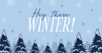 Hey There Winter Greeting Facebook Ad Design