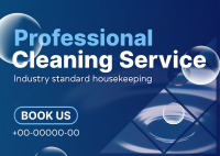 Professional Cleaning Service Postcard Image Preview