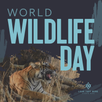 Wildlife Conservation Instagram Post Design