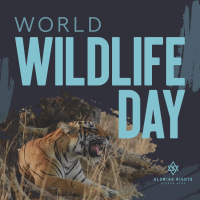 Wildlife Conservation Instagram post Image Preview