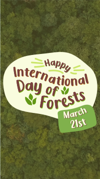 International Day of Forests  Instagram Reel Design