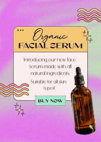 Organic  Skincare Y2K Flyer Image Preview