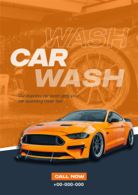 Professional Car Cleaning Poster Image Preview
