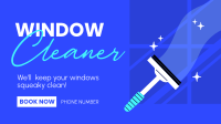 Squeaky Clean Windows Video Image Preview