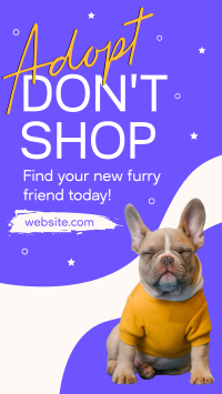 New Furry Friend Instagram reel Image Preview