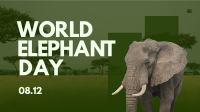 World Elephant Celebration Video Image Preview