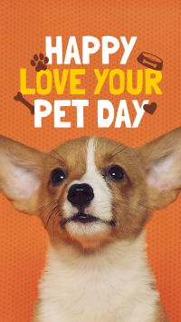 Wonderful Love Your Pet Day Greeting YouTube short Image Preview