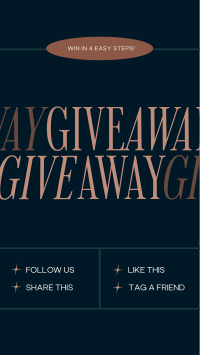 Elegant Minimal Giveaway Instagram Story Design