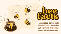 Honey Bee Facts Video Design