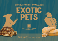 Exotic Vet Consultation Postcard Image Preview
