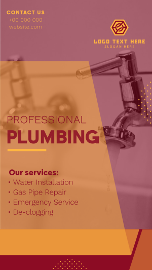 Professional Plumbing Facebook story Image Preview