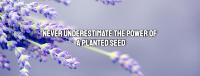 Lavender Buds Quote Facebook cover Image Preview