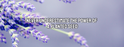 Lavender Buds Quote Facebook cover Image Preview