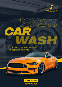 Professional Car Cleaning Poster Image Preview