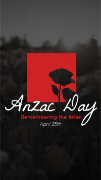 Anzac Remembrance Instagram reel Image Preview