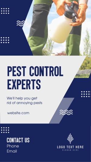 Pest Control Experts Facebook story Image Preview