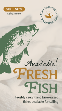 Fresh Fishes Available Facebook Story Design