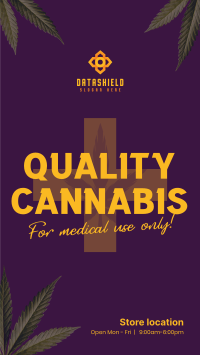 Quality Cannabis Plant Instagram story Image Preview