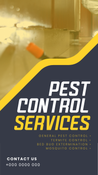 Straight Forward Pest Control YouTube Short Image Preview