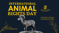 Animal Rights Awareness Animation Preview
