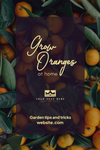 Grow Oranges Pinterest Pin Image Preview