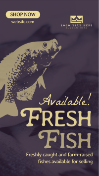 Fresh Fishes Available YouTube short Image Preview