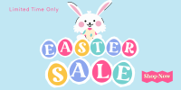Easter Bunny Promo Twitter post Image Preview
