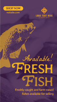 Fresh Fishes Available Instagram reel Image Preview