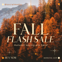 Fall Flash Sale Linkedin Post Preview