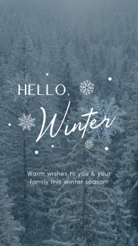 Minimalist Winter Greeting Facebook story Image Preview