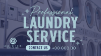 Professional Laundry Service Animation Image Preview