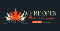 Healthy Cannabis Facebook ad Image Preview