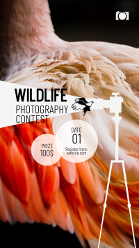 Wildlife Photography Contest Facebook Story Design