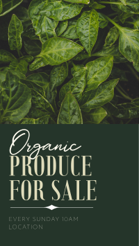 Come and Buy Our Fresh Produce Facebook Story Design