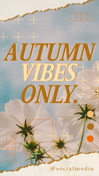 Autumn Vibes Greeting TikTok Video Preview