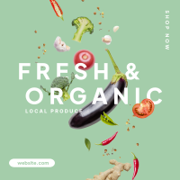 Organic Fresh Instagram Post Design