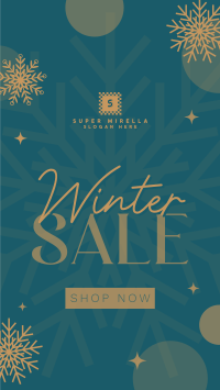 Winter Snowball  Sale Facebook Story Image Preview