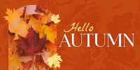 Hello There Autumn Greeting Twitter post Image Preview