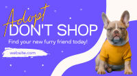 New Furry Friend Video Image Preview